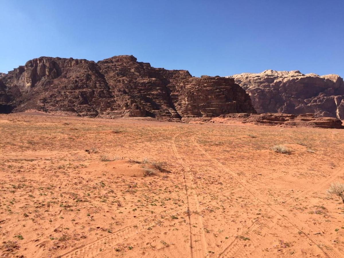 Wadi Rum Bedouin Experience Εξωτερικό φωτογραφία