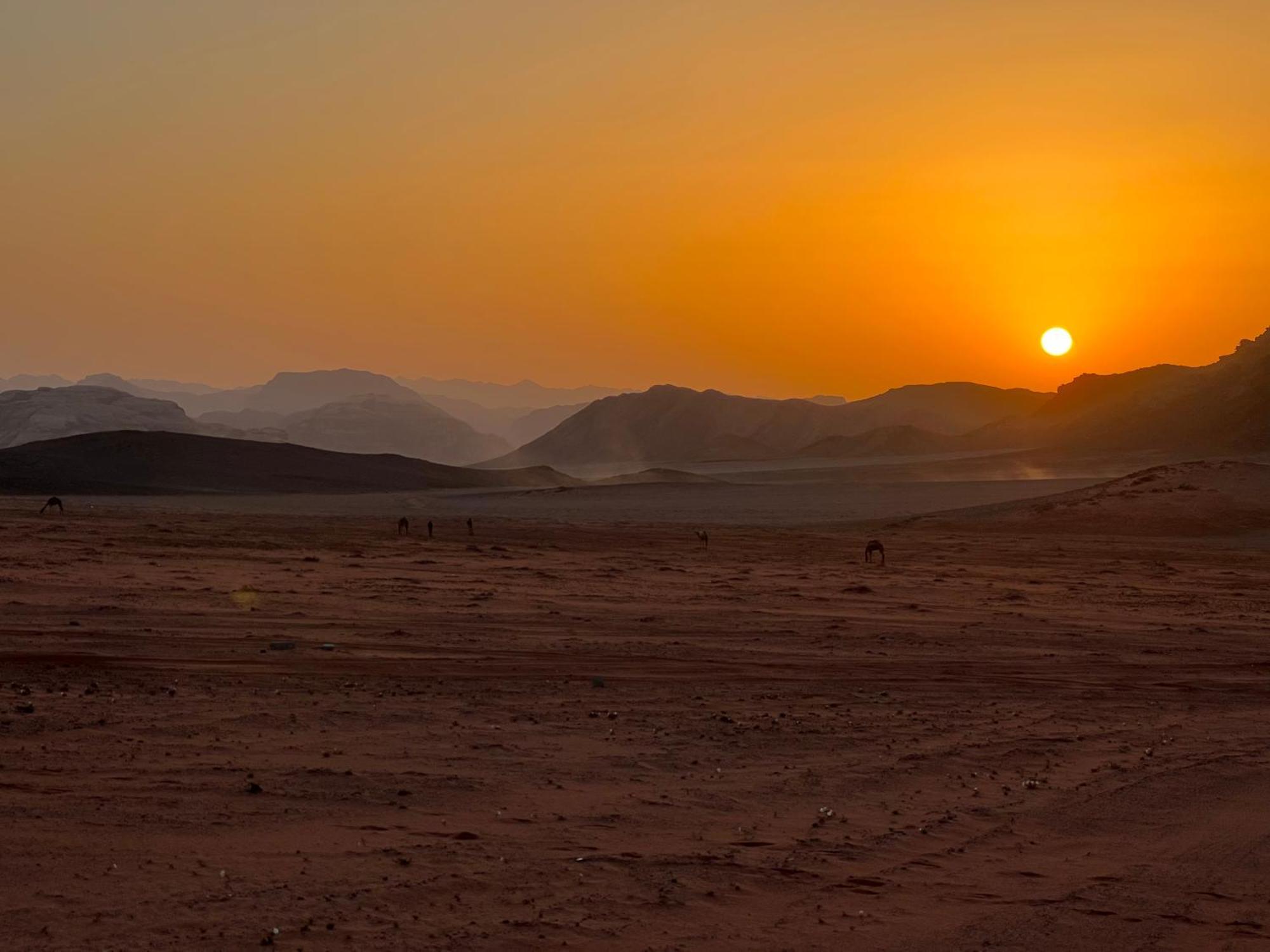 Wadi Rum Bedouin Experience Εξωτερικό φωτογραφία