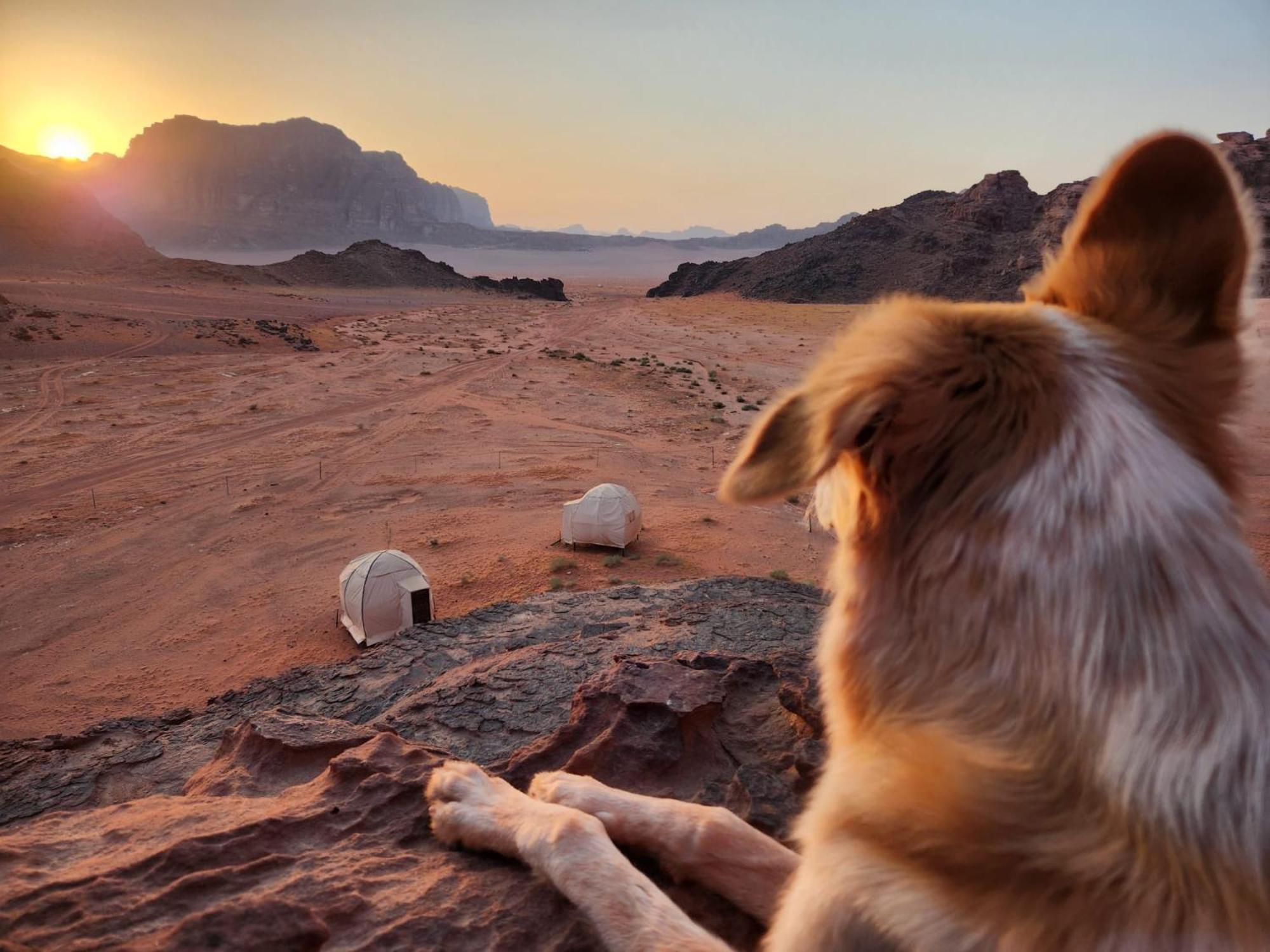 Wadi Rum Bedouin Experience Εξωτερικό φωτογραφία