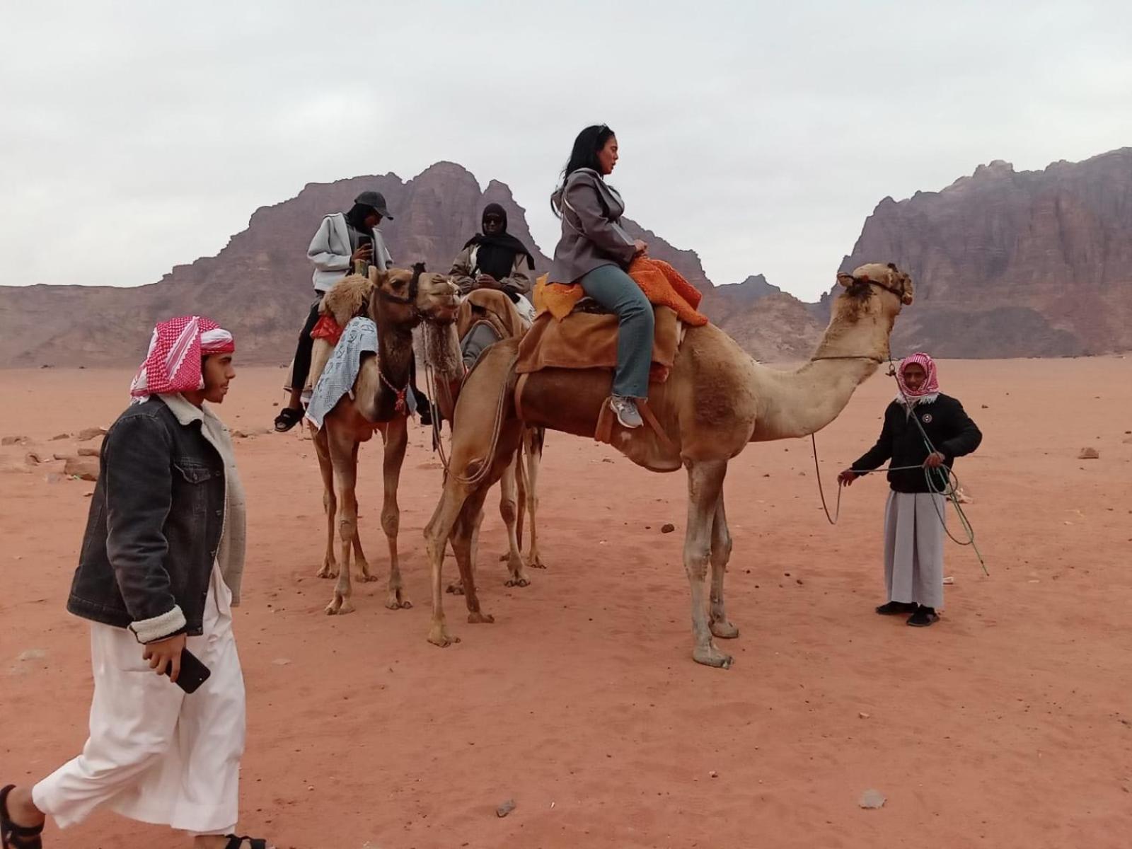 Wadi Rum Bedouin Experience Εξωτερικό φωτογραφία