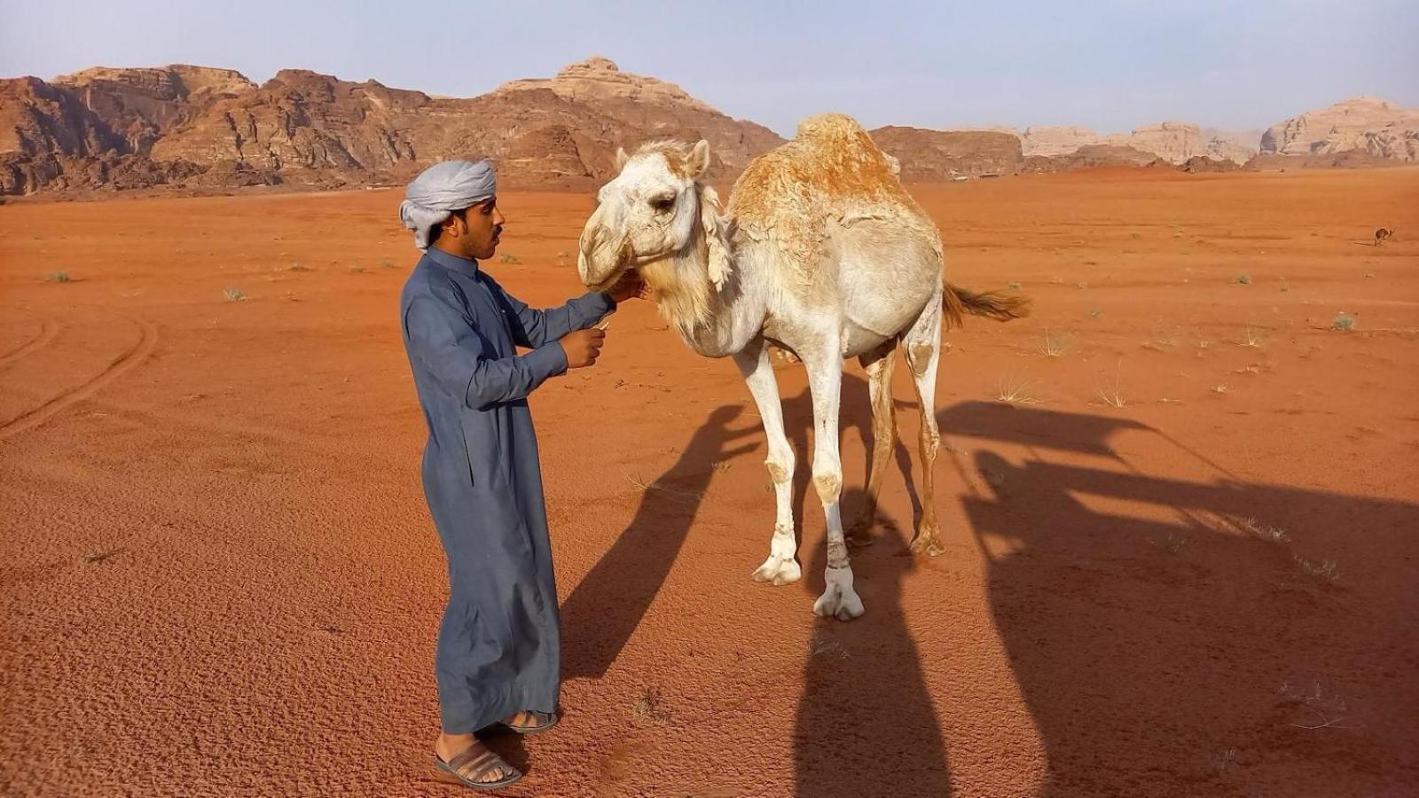 Wadi Rum Bedouin Experience Εξωτερικό φωτογραφία